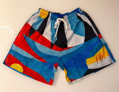 Paint Art Shorts